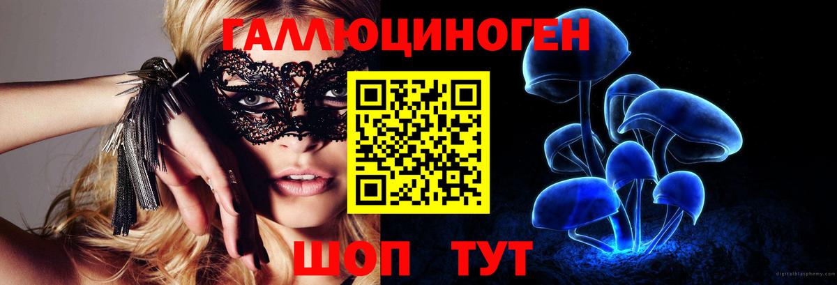 Медногорск  Галлюциногенные грибы ЛСД  Вход с VPN  Псилоцибиновые грибы прущие грибы 